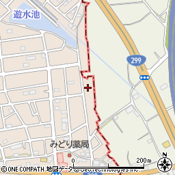 埼玉県入間市野田3036周辺の地図