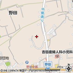 埼玉県入間市野田1330周辺の地図