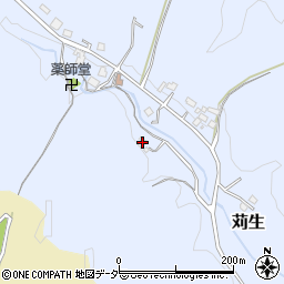 埼玉県飯能市苅生162周辺の地図