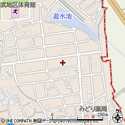 埼玉県入間市野田3032周辺の地図
