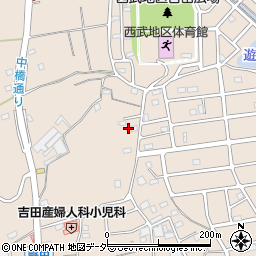 埼玉県入間市野田1260周辺の地図