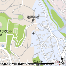 埼玉県飯能市矢颪162-1周辺の地図