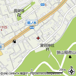 埼玉県狭山市鵜ノ木19-6周辺の地図