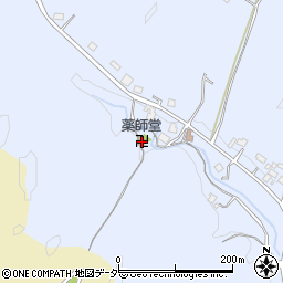 埼玉県飯能市苅生169周辺の地図