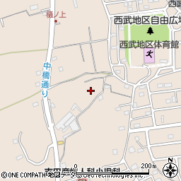 埼玉県入間市野田1289周辺の地図