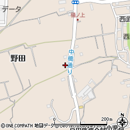 埼玉県入間市野田2086周辺の地図