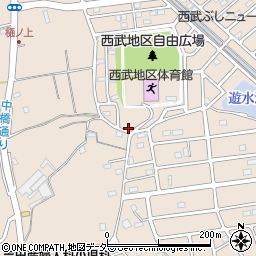 埼玉県入間市野田2216周辺の地図