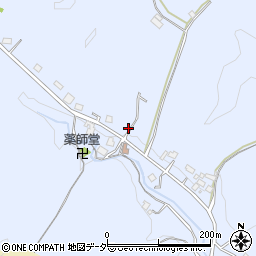 埼玉県飯能市苅生264周辺の地図