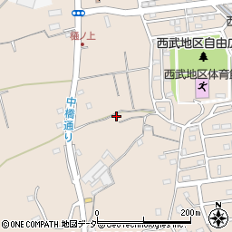 埼玉県入間市野田1267周辺の地図