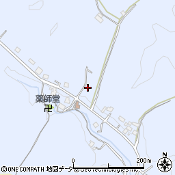 埼玉県飯能市苅生177周辺の地図