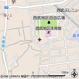 埼玉県入間市野田2215周辺の地図
