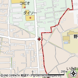 埼玉県飯能市双柳924周辺の地図