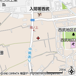 埼玉県入間市野田2202周辺の地図