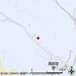 埼玉県飯能市苅生307周辺の地図