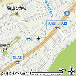 埼玉県狭山市鵜ノ木9-4周辺の地図