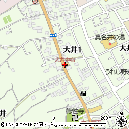 大井中宿周辺の地図