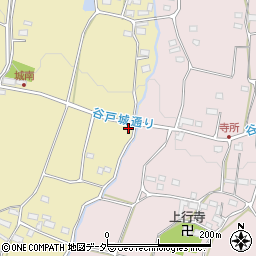 山梨県北杜市大泉町谷戸238周辺の地図