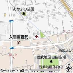 埼玉県入間市新光243-13周辺の地図