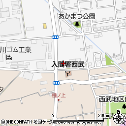 埼玉県入間市新光243-28周辺の地図
