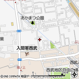 埼玉県入間市新光290-5周辺の地図