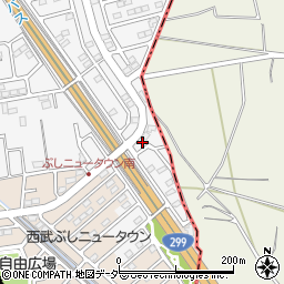 埼玉県入間市新光306-409周辺の地図