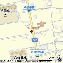 埼玉県八潮市八條518-1周辺の地図