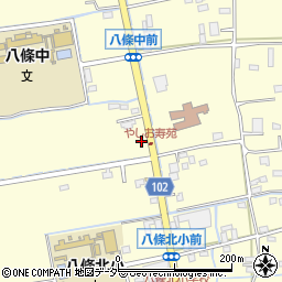 埼玉県八潮市八條518-3周辺の地図
