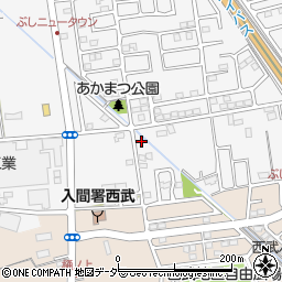 埼玉県入間市新光289-6周辺の地図