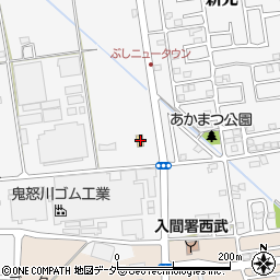 埼玉県入間市新光228-1周辺の地図