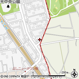 埼玉県入間市新光306-727周辺の地図
