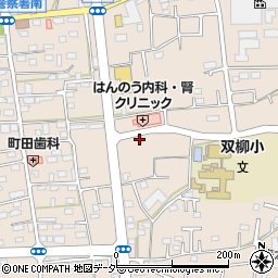 埼玉県飯能市双柳周辺の地図