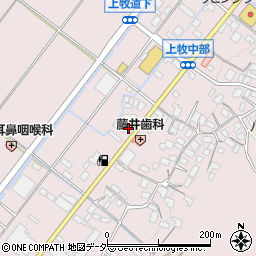 ティンバーウルフジャパン株式会社周辺の地図