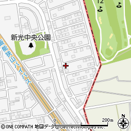 埼玉県入間市新光306-141周辺の地図