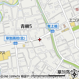 雄飛堂薬局草加店周辺の地図