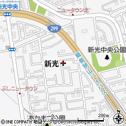 埼玉県入間市新光256-99周辺の地図