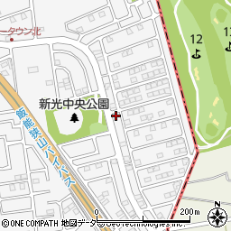 埼玉県入間市新光306-165周辺の地図