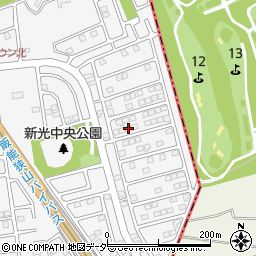 埼玉県入間市新光306-223周辺の地図
