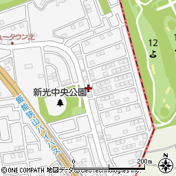 埼玉県入間市新光306-247周辺の地図