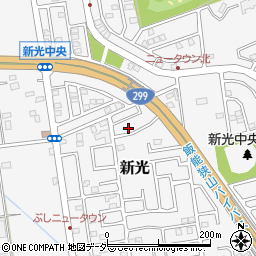 埼玉県入間市新光269-10周辺の地図