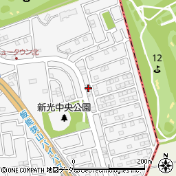 埼玉県入間市新光306-244周辺の地図