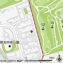 埼玉県入間市新光306-233周辺の地図