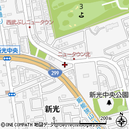 埼玉県入間市新光306-849周辺の地図