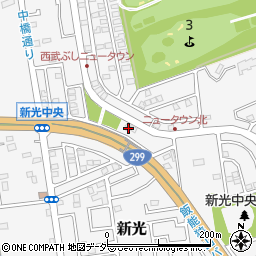 埼玉県入間市新光306-500周辺の地図