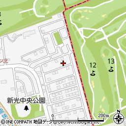 埼玉県入間市新光306-765周辺の地図
