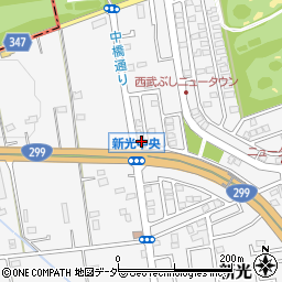 埼玉県入間市新光306-536周辺の地図