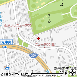 埼玉県入間市新光306-790周辺の地図