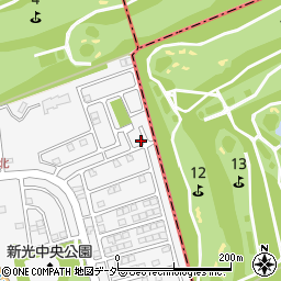 埼玉県入間市新光306-894周辺の地図