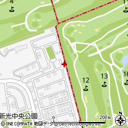 埼玉県入間市新光306-893周辺の地図
