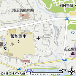 埼玉県飯能市飯能1255周辺の地図