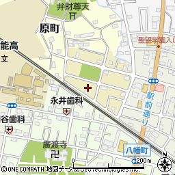 埼玉県飯能市原町121周辺の地図